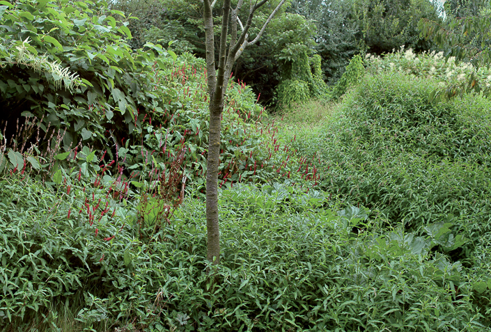 Panorama Herve Brunon 1 couleur et taille_1